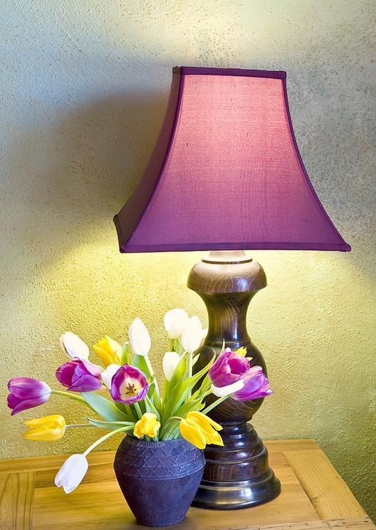Casa Gallina - An Artisan Inn Taos Rum bild